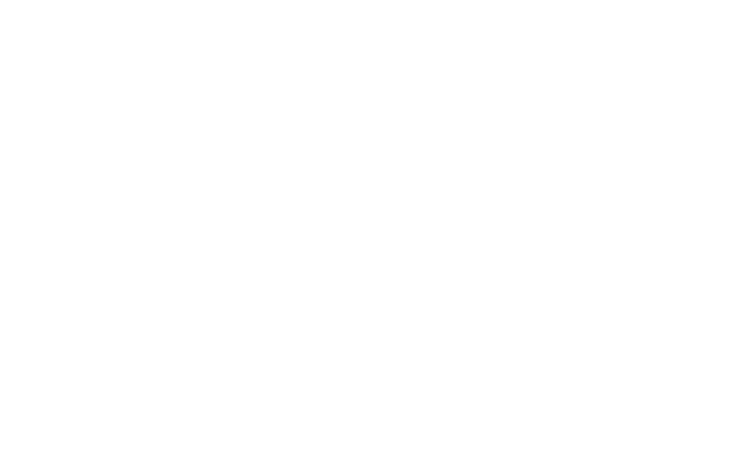 Firm400 at Nissfest SoCal 2021